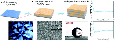 Graphical abstract: Bioprocess-inspired synthesis of multilayered chitosan/CaCO3 composites with nacre-like structures and high mechanical properties