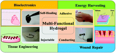Graphical abstract: Tunable, conductive, self-healing, adhesive and injectable hydrogels for bioelectronics and tissue regeneration applications