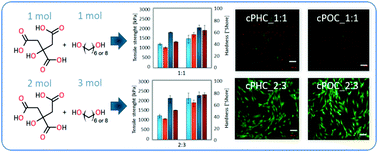 Graphical abstract: Advancements in structure–property correlation studies of cross-linked citric acid-based elastomers from the perspective of medical application