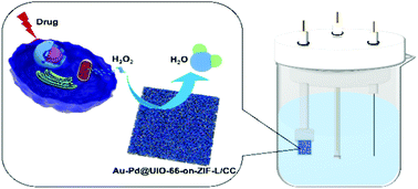 Graphical abstract: Development of Au–Pd@UiO-66-on-ZIF-L/CC as a self-supported electrochemical sensor for in situ monitoring of cellular hydrogen peroxide
