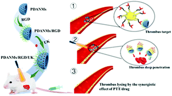 Graphical abstract: Dual drive mode polydopamine nanomotors for continuous treatment of an inferior vena cava thrombus