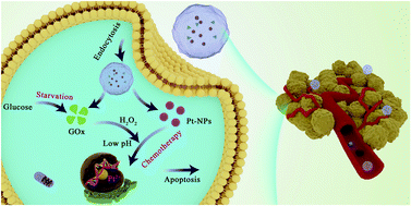 Graphical abstract: Combination of starvation therapy and Pt-NP based chemotherapy for synergistic cancer treatment