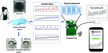 Graphical abstract: Deep learning enabled classification of real-time respiration signals acquired by MoSSe quantum dot-based flexible sensors