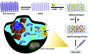 Graphical abstract: A biodegradable multifunctional nanoplatform based on antimonene nanosheets for synergistic cancer phototherapy and dual imaging