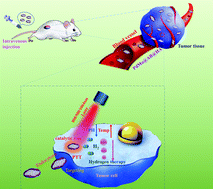 Graphical abstract: A PdMo bimetallene with precise wavelength adjustment and catalysis for synergistic photothermal ablation and hydrogen therapy of cancer at different depths