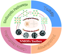 Graphical abstract: Structural diversity of nanoscale zirconium porphyrin MOFs and their photoactivities and biological performances