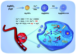 Graphical abstract: Glutathione-triggered nanoplatform for chemodynamic/metal-ion therapy