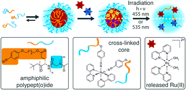 Graphical abstract: Photocleavable core cross-linked polymeric micelles of polypept(o)ides and ruthenium(ii) complexes