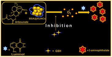 Graphical abstract: An ultrasensitive chemiluminescent biosensor for tracing glutathione in human serum using BSA@AuNCs as a peroxidase-mimetic nanozyme on a luminol/artesunate system
