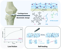 Graphical abstract: A tannic acid-reinforced PEEK-hydrogel composite material with good biotribological and self-healing properties for artificial joints