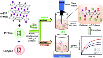 Graphical abstract: One-step preparation of bioactive enzyme/inorganic materials