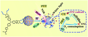 Graphical abstract: A triple-stimulus responsive melanin-based nanoplatform with an aggregation-induced emission-active photosensitiser for imaging-guided targeted synergistic phototherapy/hypoxia-activated chemotherapy