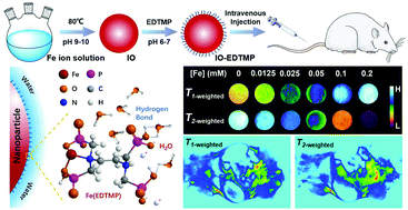 Graphical abstract: EDTMP ligand-enhanced water interactions endowing iron oxide nanoparticles with dual-modal MRI contrast ability