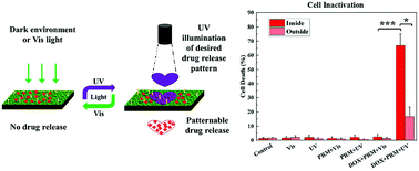 Graphical abstract: A photo-responsive membrane for tailored drug delivery with spatially and temporally controlled release