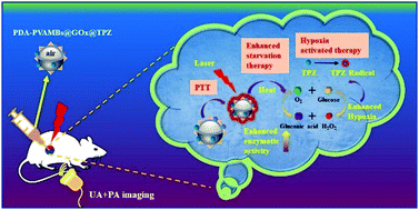 Graphical abstract: Hybrid theranostic microbubbles for ultrasound/photoacoustic imaging guided starvation/low-temperature photothermal/hypoxia-activated synergistic cancer therapy