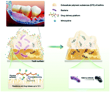 Graphical abstract: A lingering mouthwash with sustained antibiotic release and biofilm eradication for periodontitis