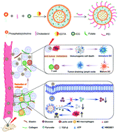 Graphical abstract: A deep tumor penetration nanoplatform for glycolysis inhibition and antimetastasis of breast cancer
