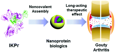 Graphical abstract: Engineering non-covalently assembled protein nanoparticles for long-acting gouty arthritis therapy