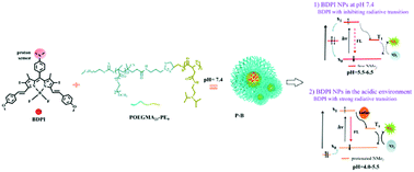 Graphical abstract: Double pH-sensitive nanotheranostics of polypeptide nanoparticle encapsulated BODIPY with both NIR activated fluorescence and enhanced photodynamic therapy