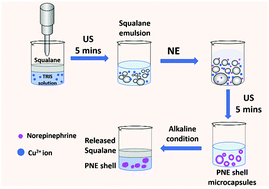 Graphical abstract: Synthesis and characterisation of polynorepinephrine-shelled microcapsules via an oil-in-water emulsion templating route