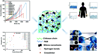 Graphical abstract: A conductive polyacrylamide hydrogel enabled by dispersion-enhanced MXene@chitosan assembly for highly stretchable and sensitive wearable skin