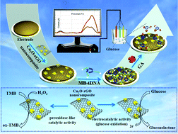 Graphical abstract: A ratiometric electrochemical biosensor for glycated albumin detection based on enhanced nanozyme catalysis of cuprous oxide-modified reduced graphene oxide nanocomposites