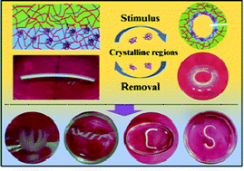 Graphical abstract: A programmable bilayer hydrogel actuator based on the asymmetric distribution of crystalline regions