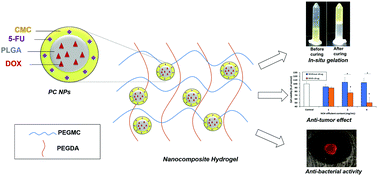 Graphical abstract: Synthesis and characterization of a novel pH-responsive drug-releasing nanocomposite hydrogel for skin cancer therapy and wound healing