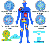 Graphical abstract: Construction of tissue-customized hydrogels from cross-linkable materials for effective tissue regeneration