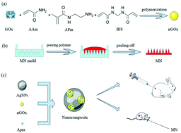 Graphical abstract: AgNPs/nGOx/Apra nanocomposites for synergistic antimicrobial therapy and scarless skin recovery