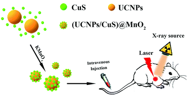 Graphical abstract: Activatable UCL/CT/MR-enhanced in vivo imaging-guided radiotherapy and photothermal therapy