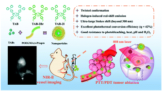 Graphical abstract: Stable twisted conformation aza-BODIPY NIR-II fluorescent nanoparticles with ultra-large Stokes shift for imaging-guided phototherapy