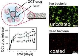 Graphical abstract: Rapid synthesis of drug-encapsulated films by evaporation-induced self-assembly for highly-controlled drug release from biomaterial surfaces