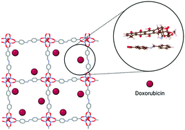 Graphical abstract: NUIG4: A biocompatible pcu metal–organic framework with an exceptional doxorubicin encapsulation capacity
