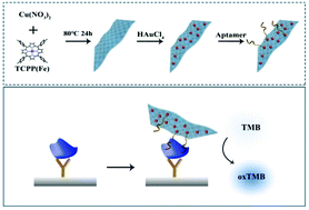 Graphical abstract: Colorimetric immunosensor constructed using 2D metal–organic framework nanosheets as enzyme mimics for the detection of protein biomarkers