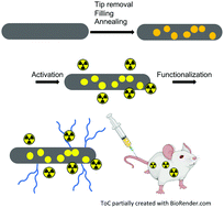 Graphical abstract: Functionalization of filled radioactive multi-walled carbon nanocapsules by arylation reaction for in vivo delivery of radio-therapy