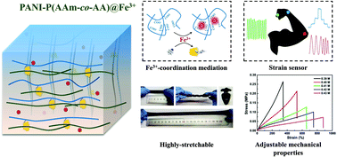 Graphical abstract: Fe3+-Coordination mediated synergistic dual-network conductive hydrogel as a sensitive and highly-stretchable strain sensor with adjustable mechanical properties