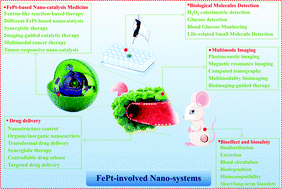 Graphical abstract: Advances in FePt-involved nano-system design and application for bioeffect and biosafety