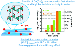 Graphical abstract: Understanding the bactericidal mechanism of Cu(OH)2 nanorods in water through Mg-substitution: high production of toxic hydroxyl radicals by non-soluble particles
