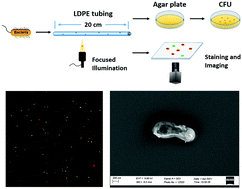 Graphical abstract: Plasmonic photoreactors-coated plastic tubing as combined-active-and-passive antimicrobial flow sterilizer