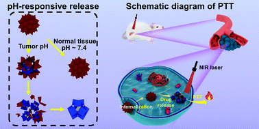 Graphical abstract: Polyoxometalate–covalent organic framework hybrid materials for pH-responsive photothermal tumor therapy