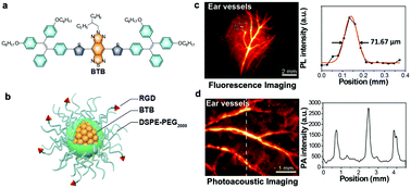 Graphical abstract: Acceptor engineering of small-molecule fluorophores for NIR-II fluorescence and photoacoustic imaging
