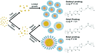 Graphical abstract: Evaluating the impact of systematic hydrophobic modification of model drugs on the control, stability and loading of lipid-based nanoparticles