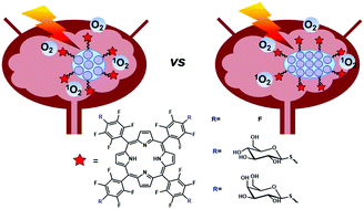 Graphical abstract: Spherical and rod shaped mesoporous silica nanoparticles for cancer-targeted and photosensitizer delivery in photodynamic therapy