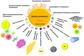 Graphical abstract: Optical cytosensors for the detection of circulating tumour cells