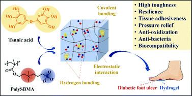 Graphical abstract: Tannic acid-reinforced zwitterionic hydrogels with multi-functionalities for diabetic wound treatment