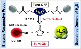 Graphical abstract: Thioredoxin reductase-triggered fluorogenic donor of hydrogen sulfide: a model study with a symmetrical organopolysulfide probe with turn-on near-infrared fluorescent emission