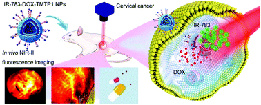 Graphical abstract: Retracted Article: A novel TMTP1-modified theranostic nanoplatform for targeted in vivo NIR-II fluorescence imaging-guided chemotherapy for cervical cancer