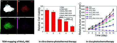 Graphical abstract: An erythrocyte membrane-camouflaged biomimetic nanoplatform for enhanced chemo-photothermal therapy of breast cancer