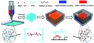 Graphical abstract: 3D printing of tough hydrogels based on metal coordination with a two-step crosslinking strategy